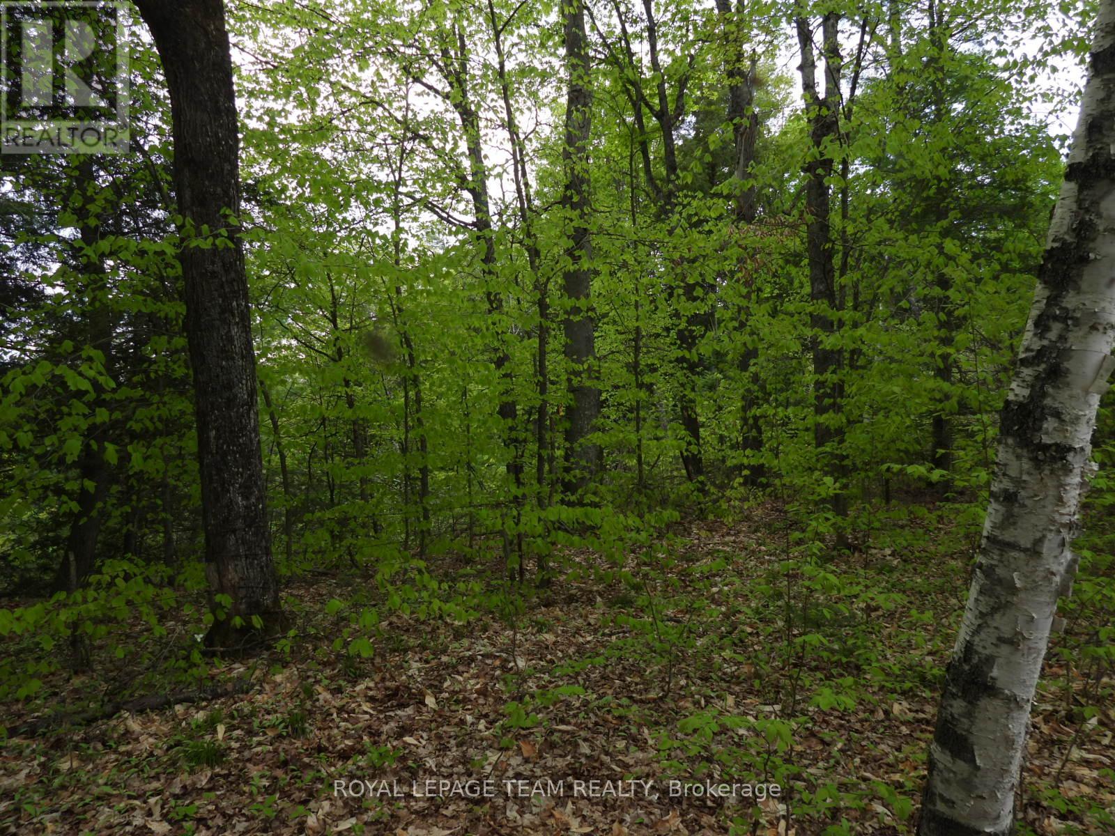 112 Mitchell Lane, Mcnab/braeside, Ontario  K7S 3G8 - Photo 15 - X12038111