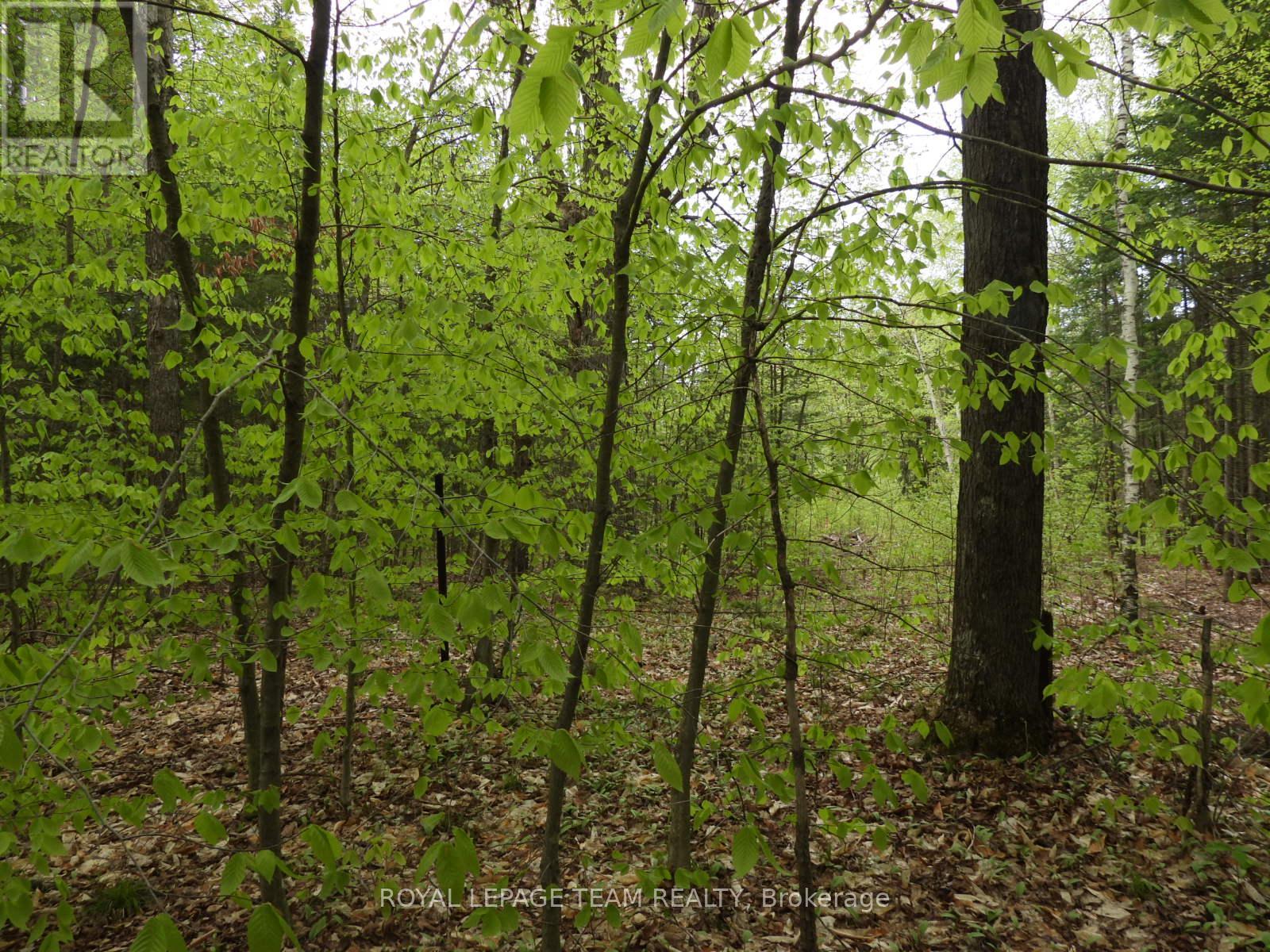 112 Mitchell Lane, Mcnab/braeside, Ontario  K7S 3G8 - Photo 12 - X12038111