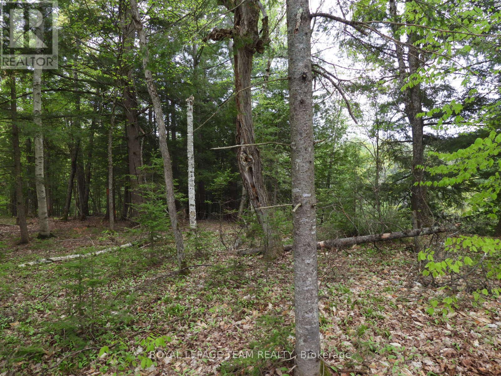 112 Mitchell Lane, Mcnab/braeside, Ontario  K7S 3G8 - Photo 16 - X12038111
