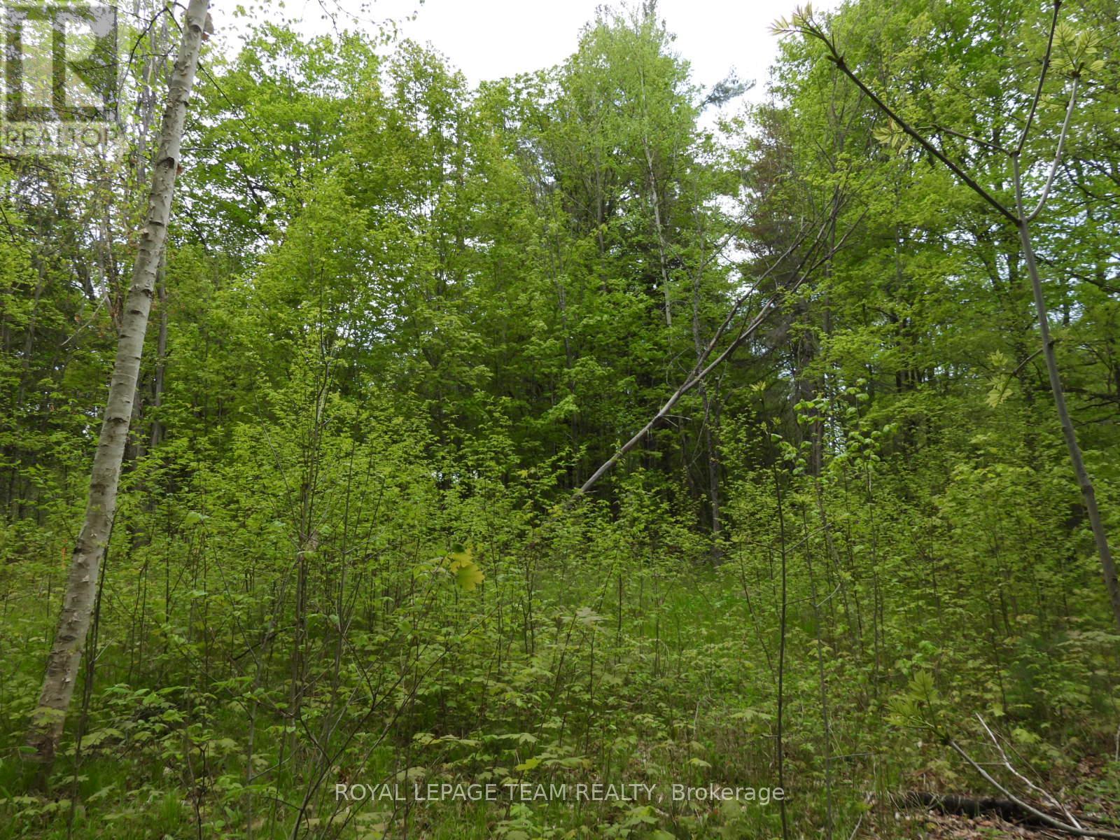 112 Mitchell Lane, Mcnab/braeside, Ontario  K7S 3G8 - Photo 21 - X12038111