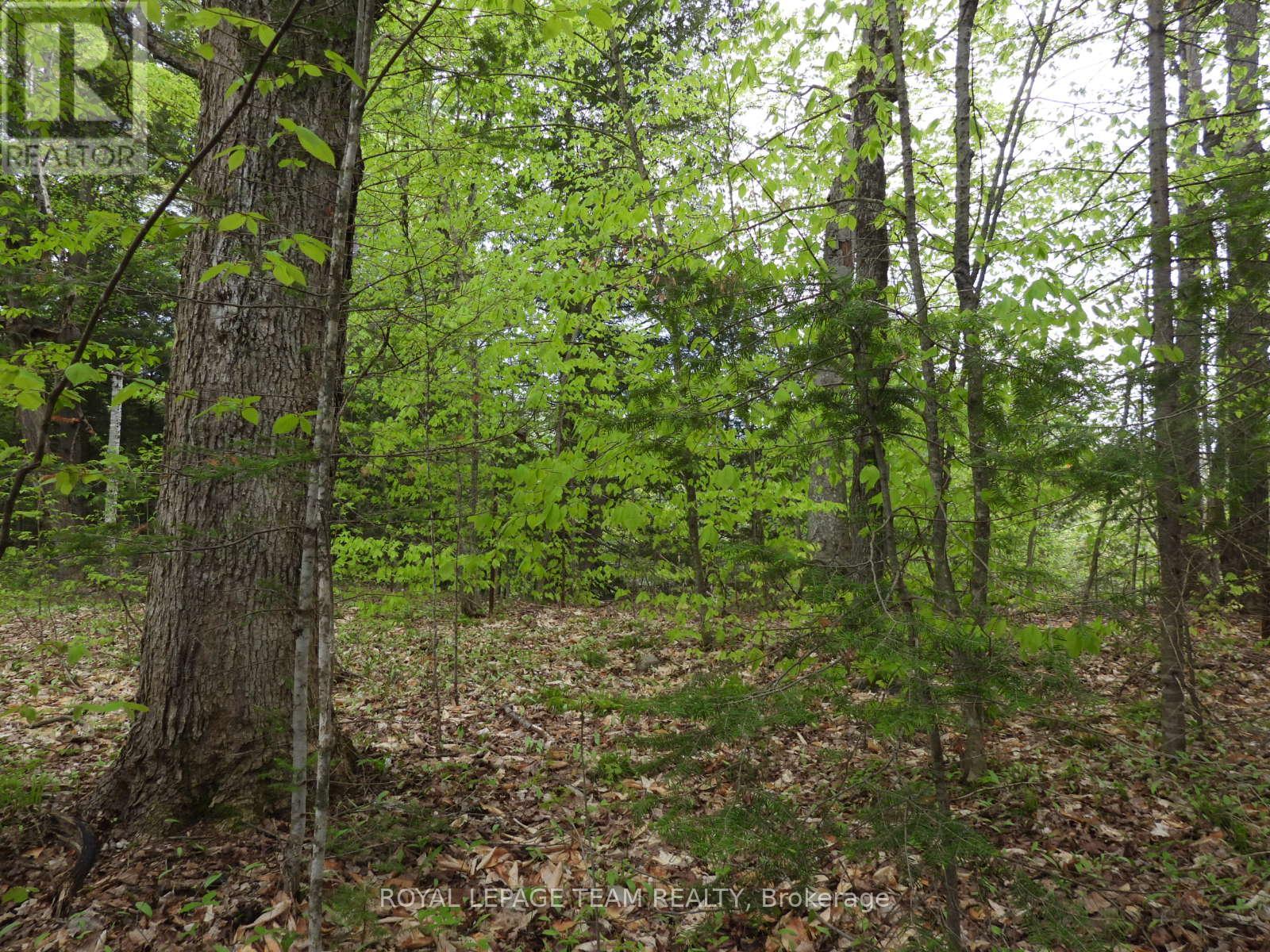 112 Mitchell Lane, Mcnab/braeside, Ontario  K7S 3G8 - Photo 2 - X12038111