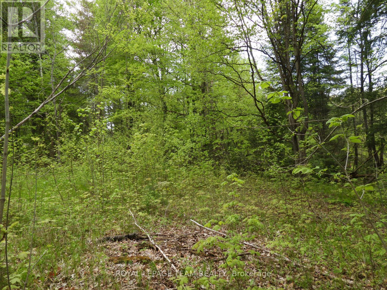 112 Mitchell Lane, Mcnab/braeside, Ontario  K7S 3G8 - Photo 19 - X12038111