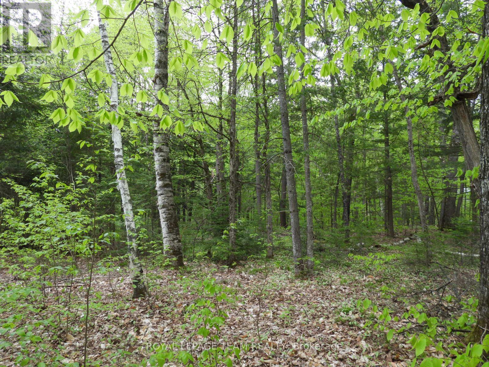 112 Mitchell Lane, Mcnab/braeside, Ontario  K7S 3G8 - Photo 4 - X12038111