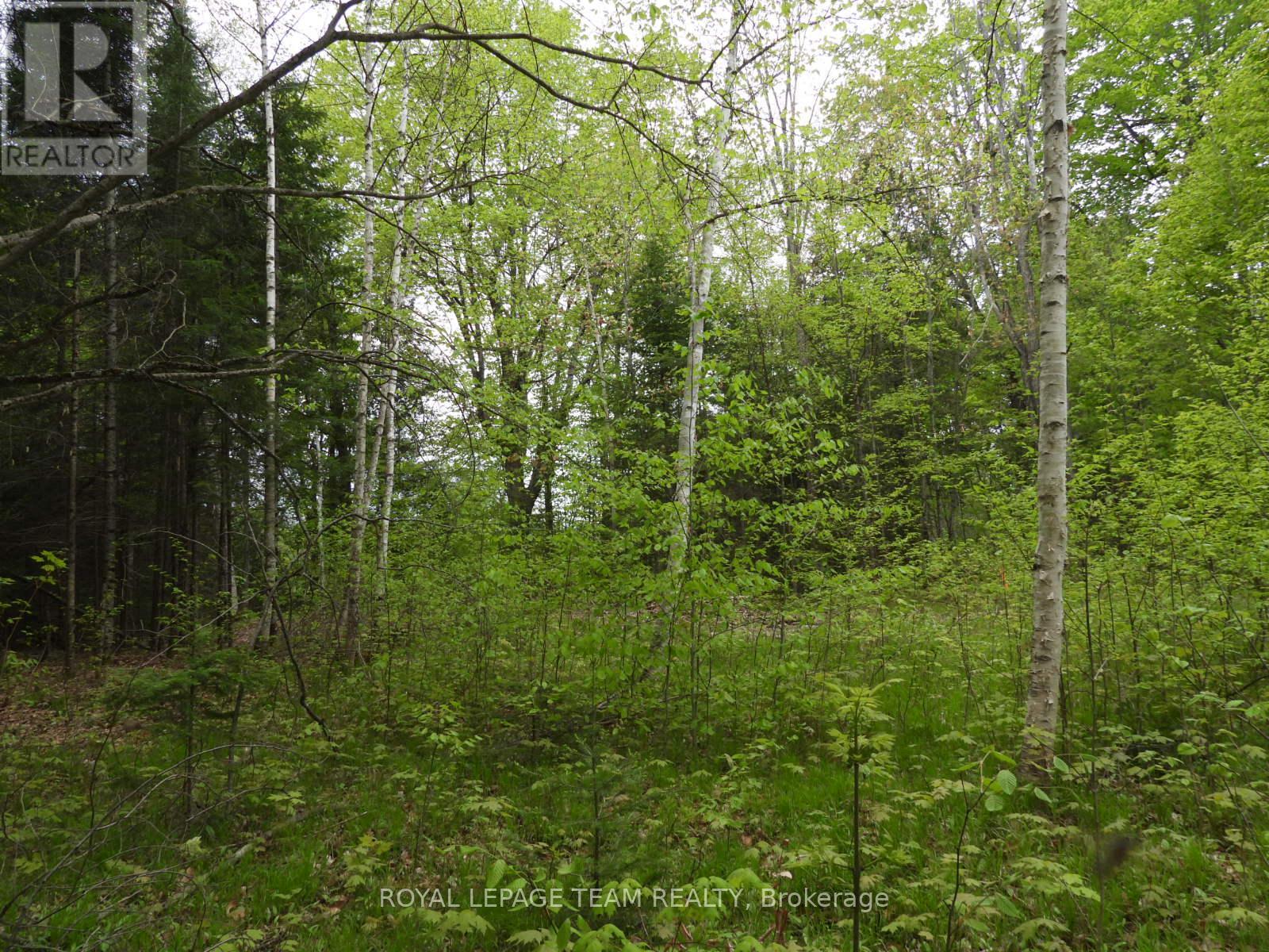 112 Mitchell Lane, Mcnab/braeside, Ontario  K7S 3G8 - Photo 20 - X12038111