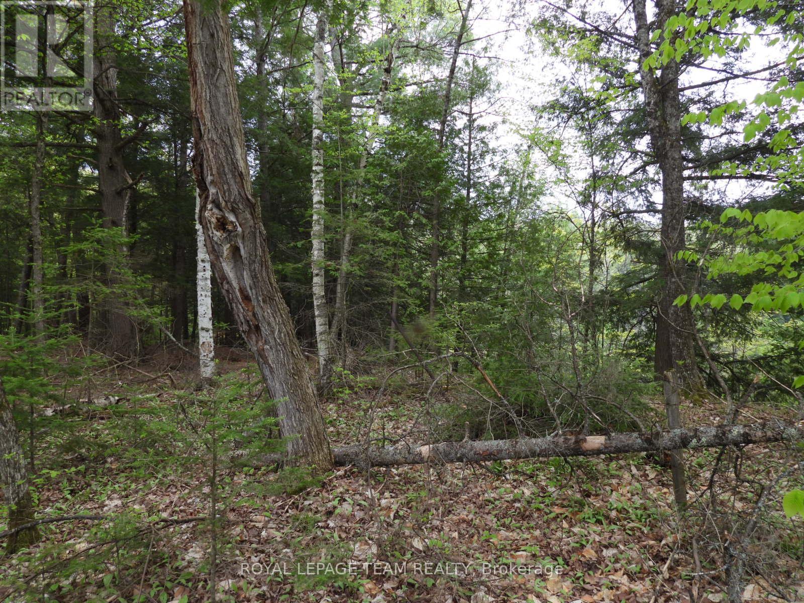 112 Mitchell Lane, Mcnab/braeside, Ontario  K7S 3G8 - Photo 6 - X12038111