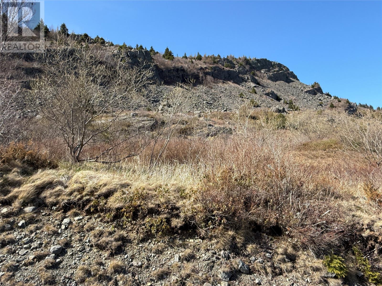 166-176 Butlerville Road, Bay Roberts, Newfoundland & Labrador  A0A 1G0 - Photo 3 - 1285143