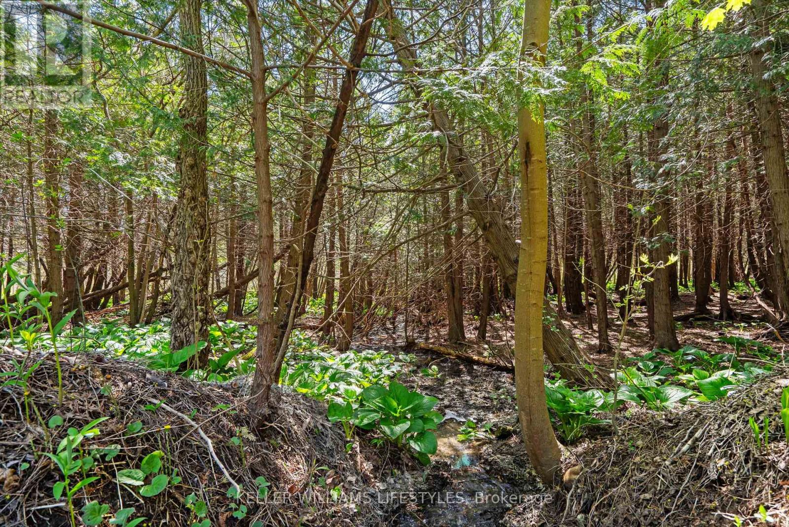 15083 Medway Road, Middlesex Centre, Ontario  N0M 1C0 - Photo 37 - X12158050