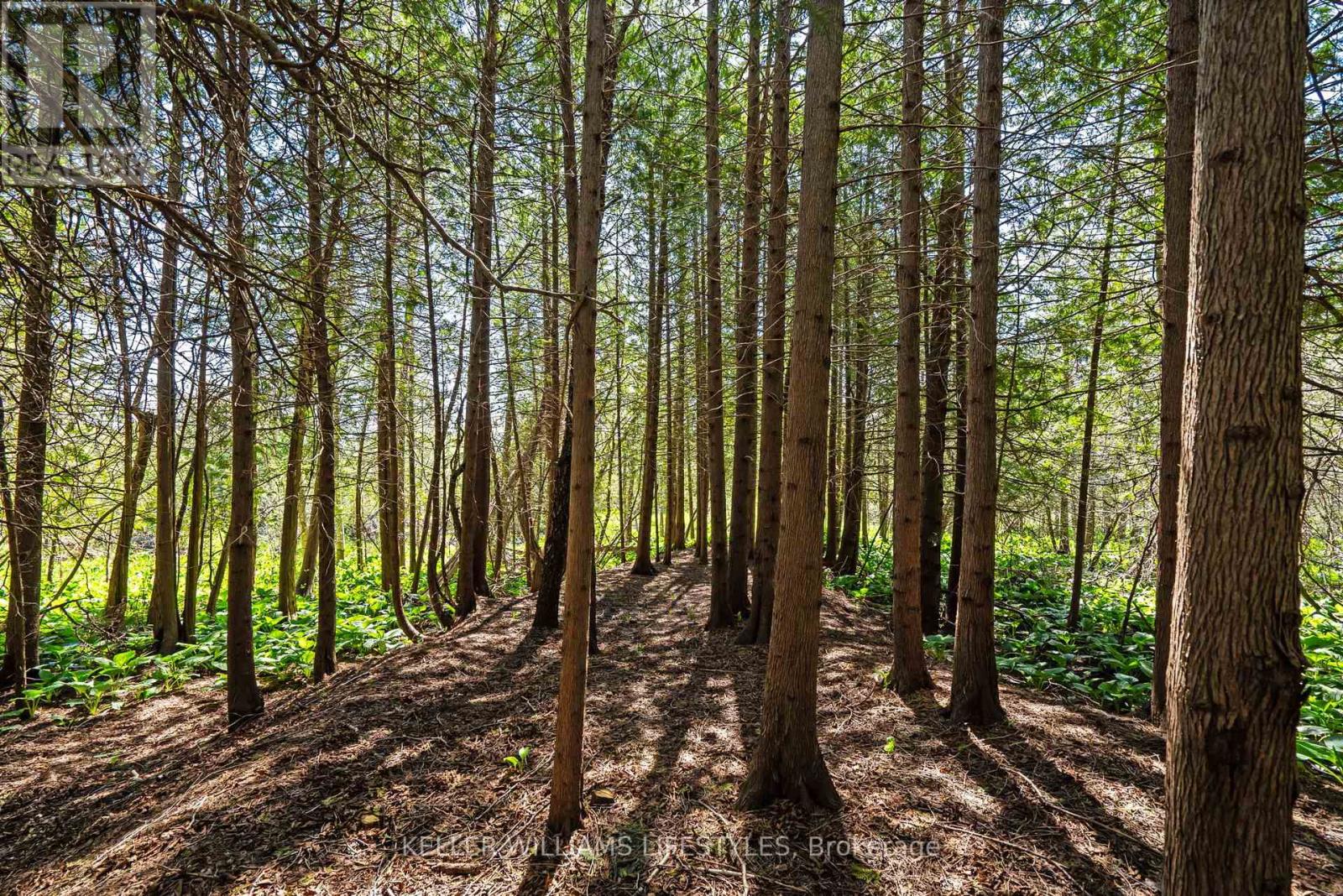 15083 Medway Road, Middlesex Centre, Ontario  N0M 1C0 - Photo 45 - X12158050