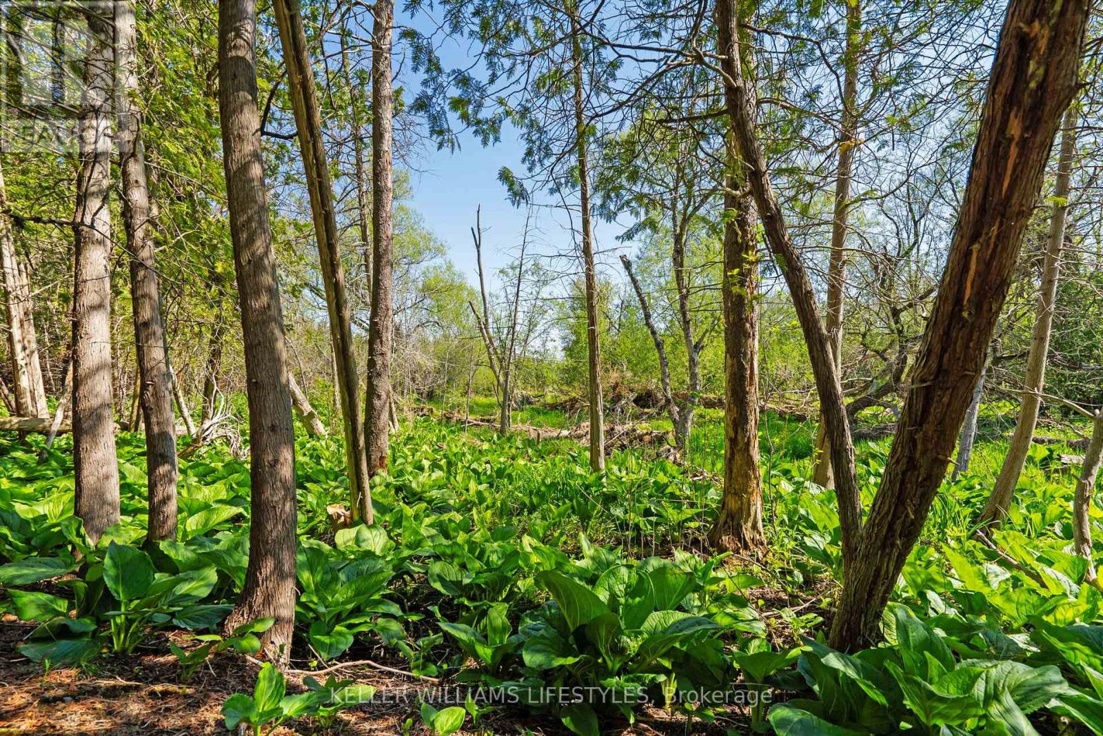 15083 Medway Road, Middlesex Centre, Ontario  N0M 1C0 - Photo 46 - X12158050