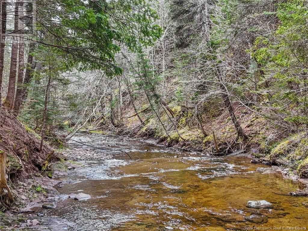 121 Big Salmon River Road, St. Martins, New Brunswick  E5R 1J7 - Photo 32 - NB118555