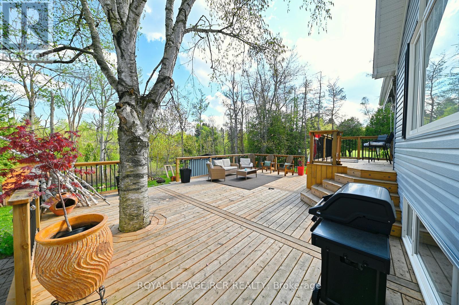24 Dean Road, Mulmur, Ontario  L0N 1S8 - Photo 31 - X12158093