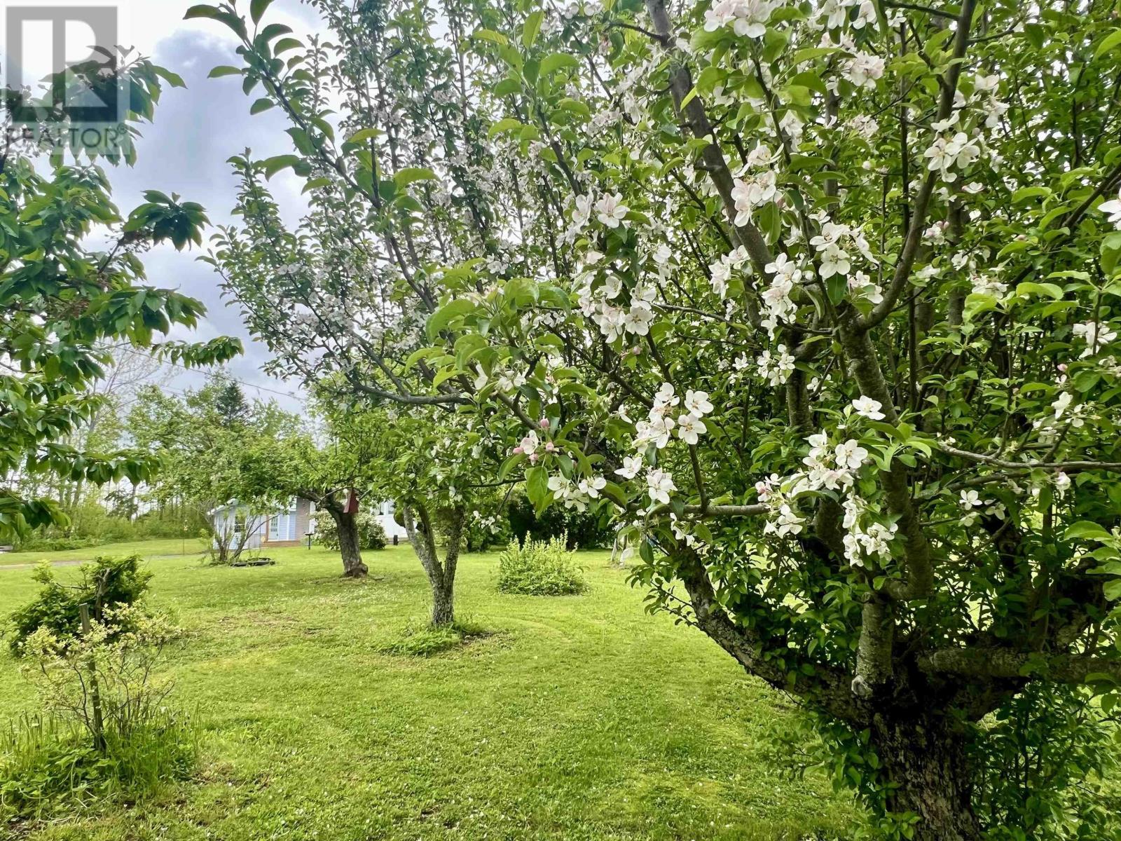 1951 Frasers Mountain Road, Frasers Mountain, Nova Scotia  B2H 5C4 - Photo 39 - 202511513