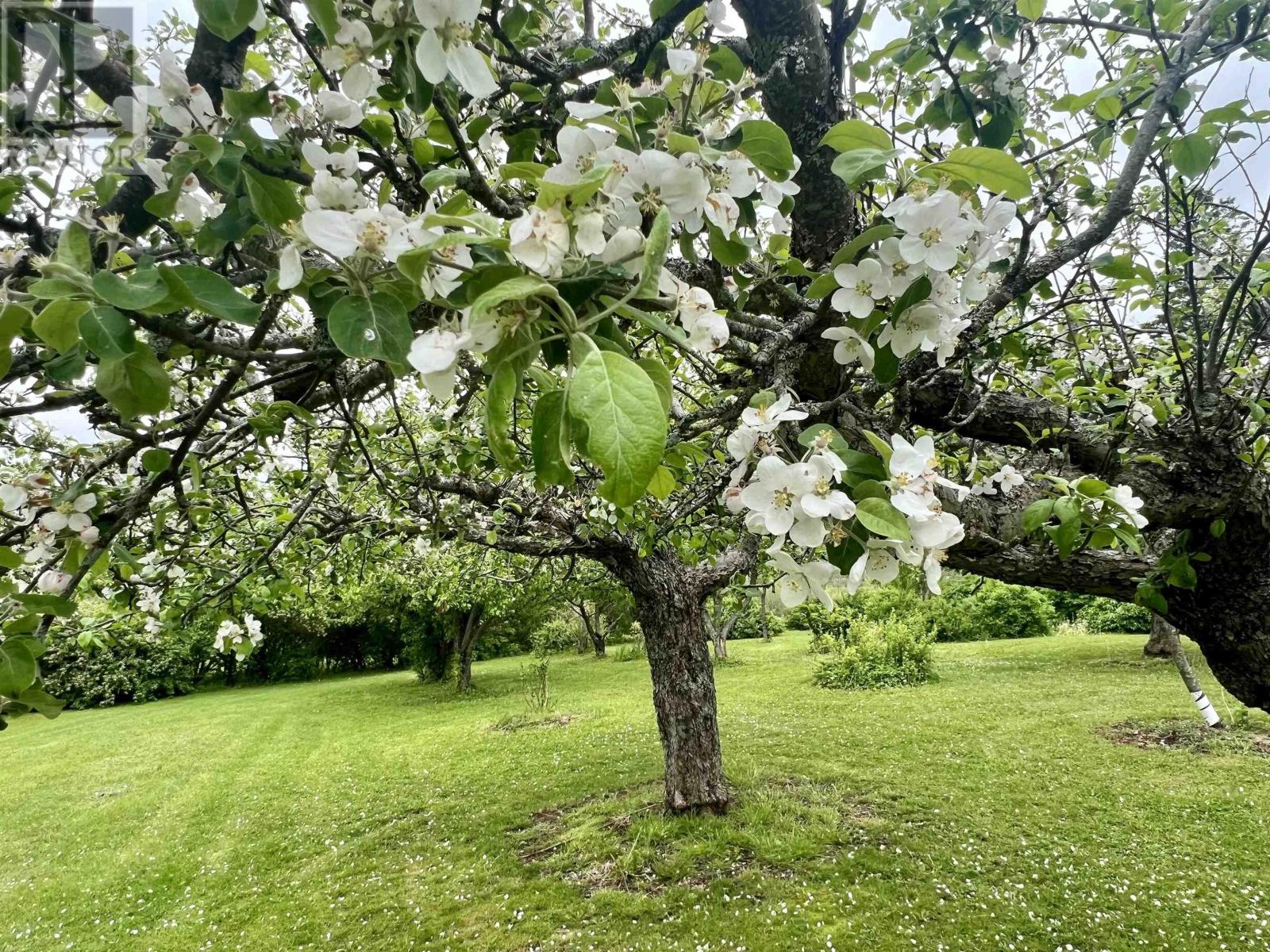 1951 Frasers Mountain Road, Frasers Mountain, Nova Scotia  B2H 5C4 - Photo 8 - 202511513