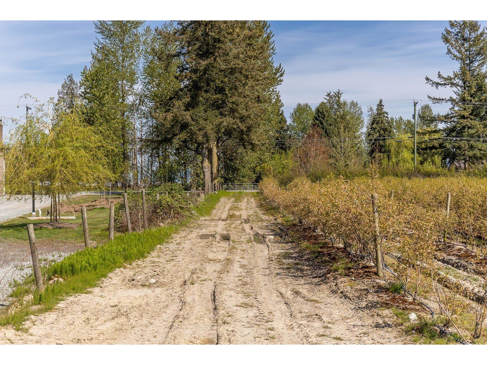 6905 Bradner Road, Abbotsford, British Columbia  V4X 2C6 - Photo 6 - R3003706