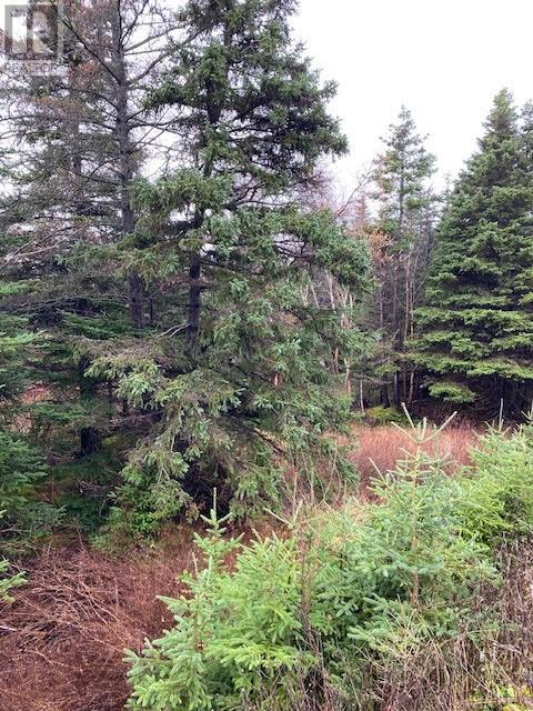 94-96 Highway East, Victoria, Newfoundland & Labrador  A0A 4G0 - Photo 4 - 1285215