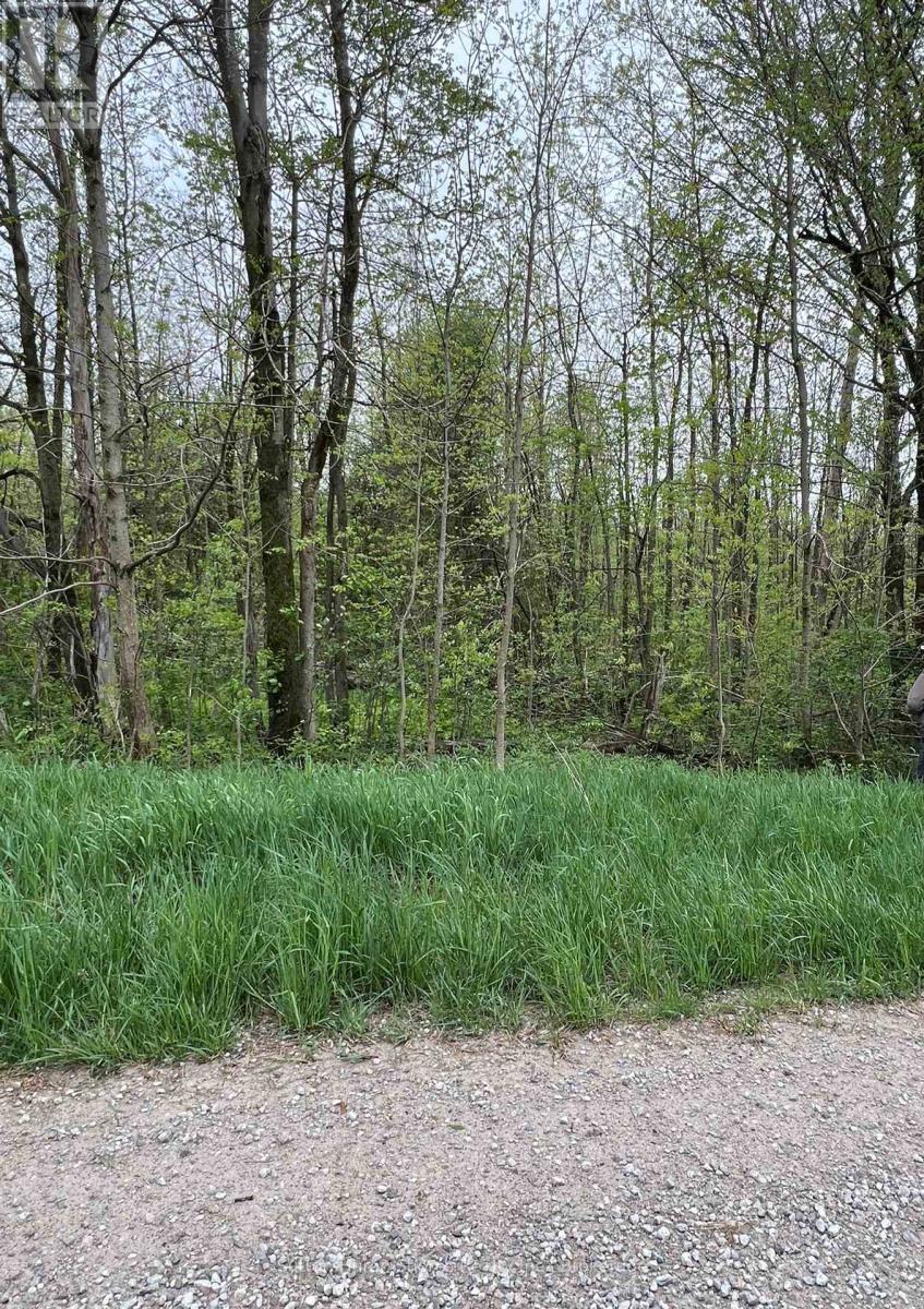 0 Pt Lt 20 Conc. 14 N Concession, Arran-Elderslie, Ontario  N0H 1L0 - Photo 2 - X12148541