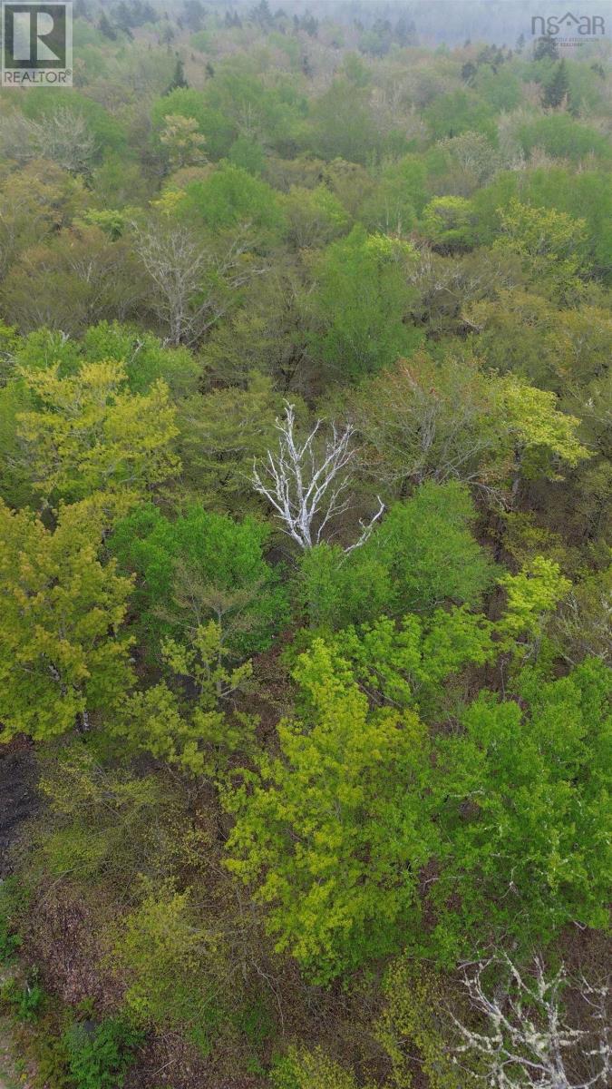 Lot 46 Turner Point Road, Walden, Nova Scotia  B0J 2E0 - Photo 3 - 202511451
