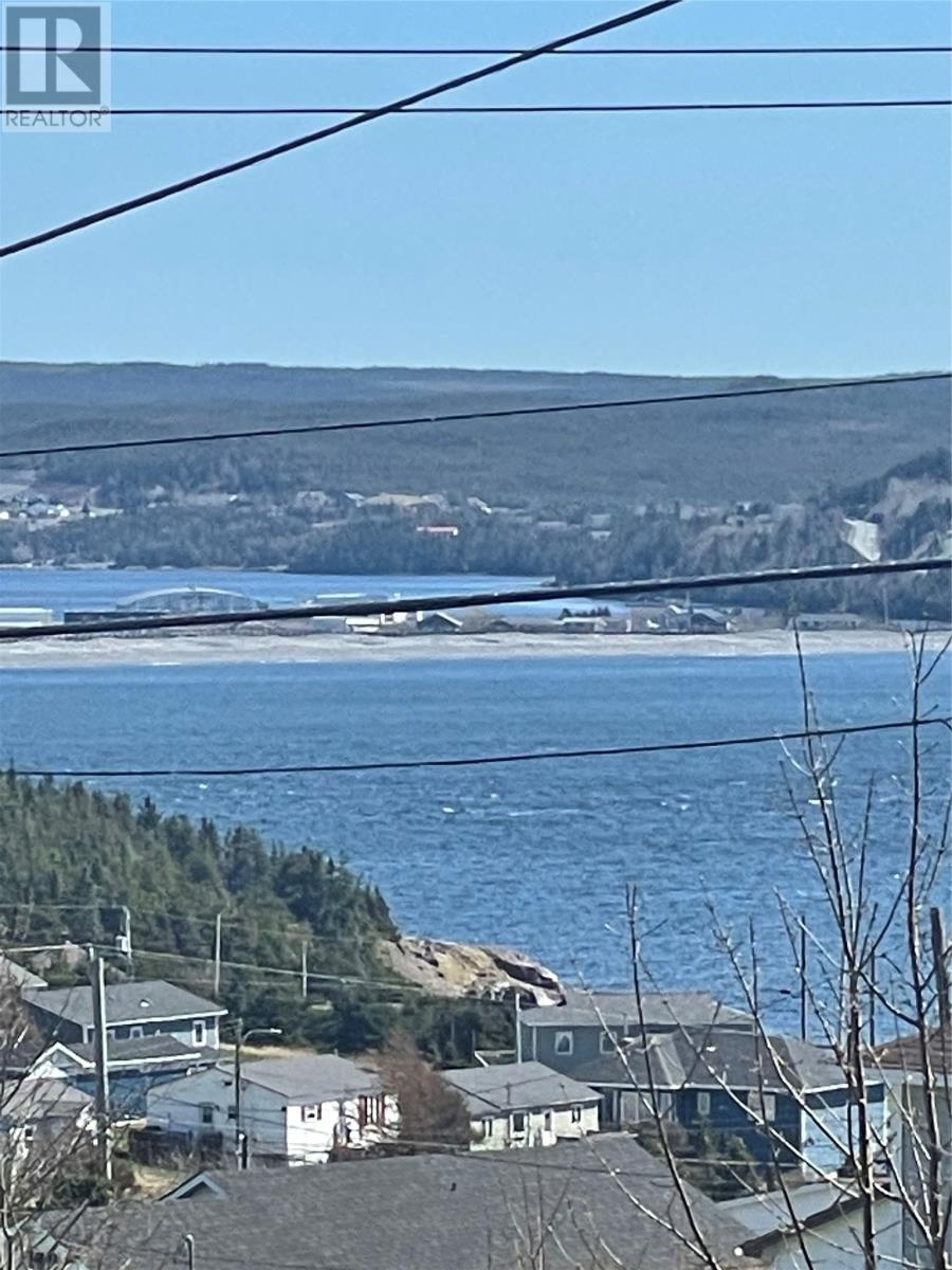 4 Evely's Hill Road, Placentia, Newfoundland & Labrador  a0b 1w0 - Photo 7 - 1285064