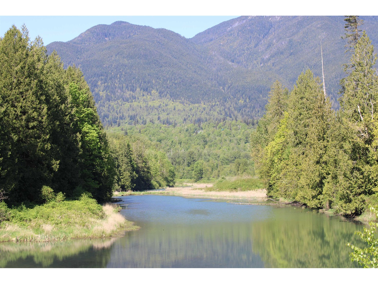 44087 Malcolm Road, Mission, British Columbia  V0M 1N0 - Photo 24 - R3003945