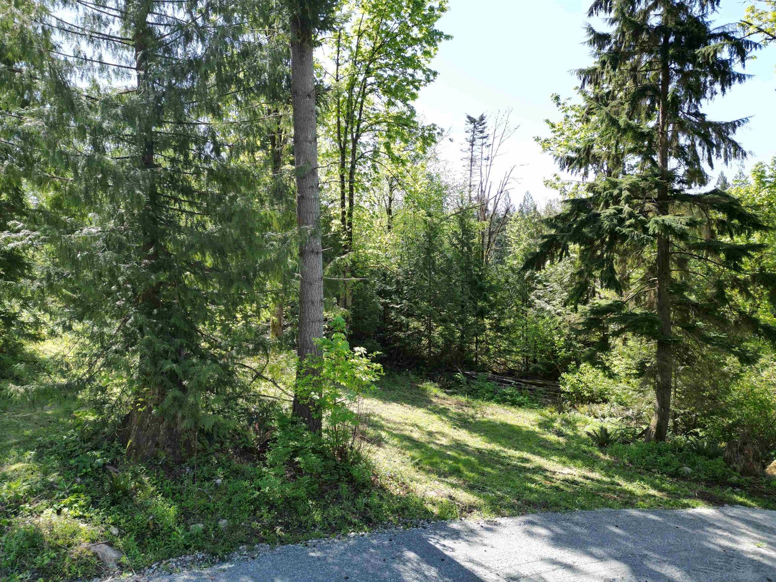 44115 Malcolm Road, Mission, British Columbia  V0M 1N0 - Photo 12 - R3003948