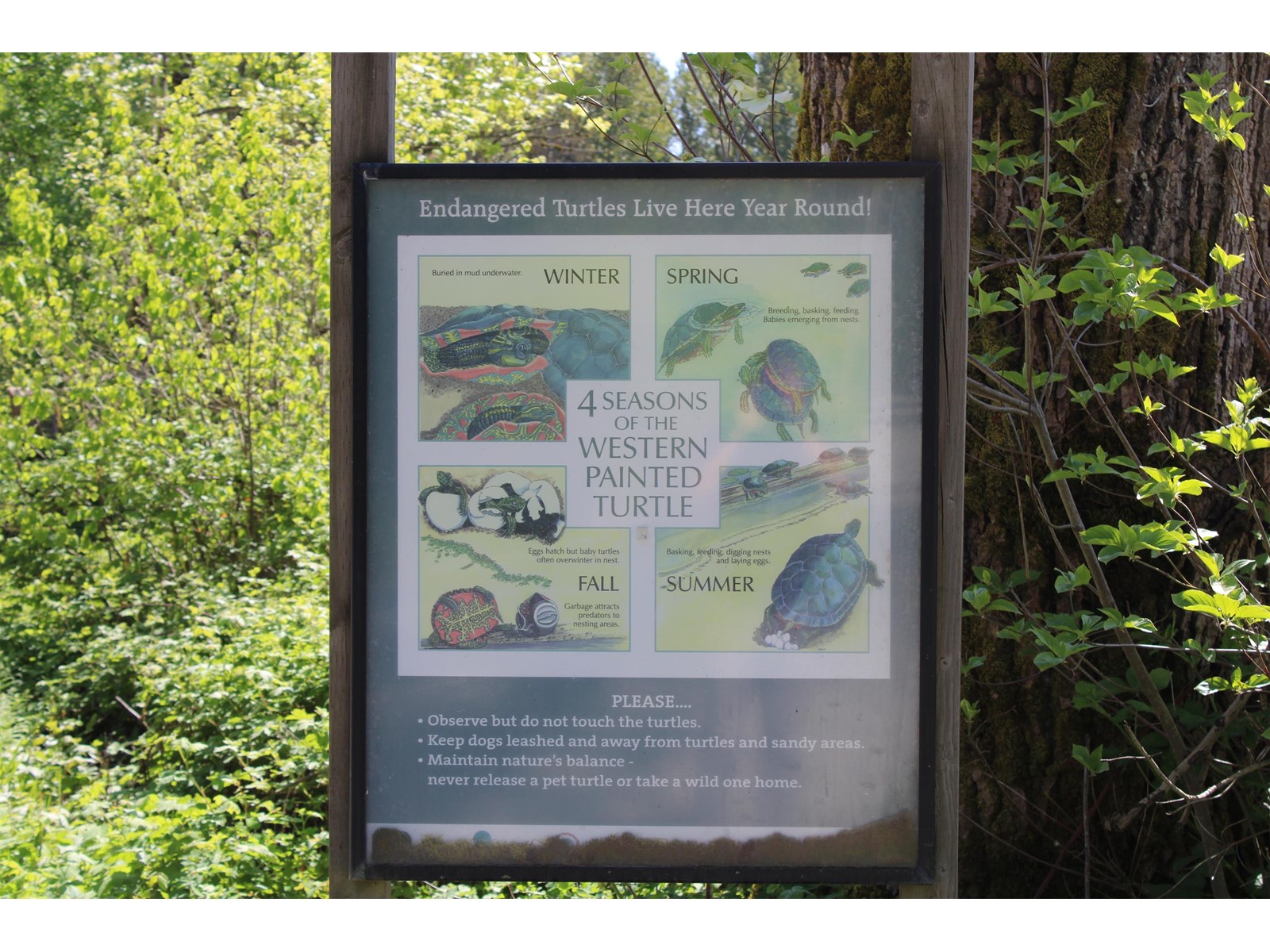 44115 Malcolm Road, Mission, British Columbia  V0M 1N0 - Photo 31 - R3003948