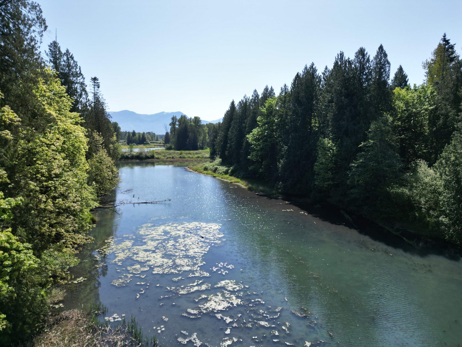 44115 Malcolm Road, Mission, British Columbia  V0M 1N0 - Photo 26 - R3003948