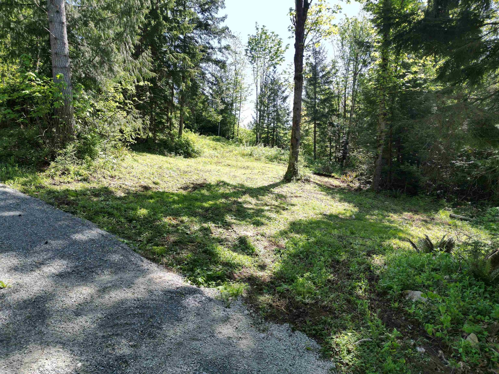 44115 Malcolm Road, Mission, British Columbia  V0M 1N0 - Photo 11 - R3003948