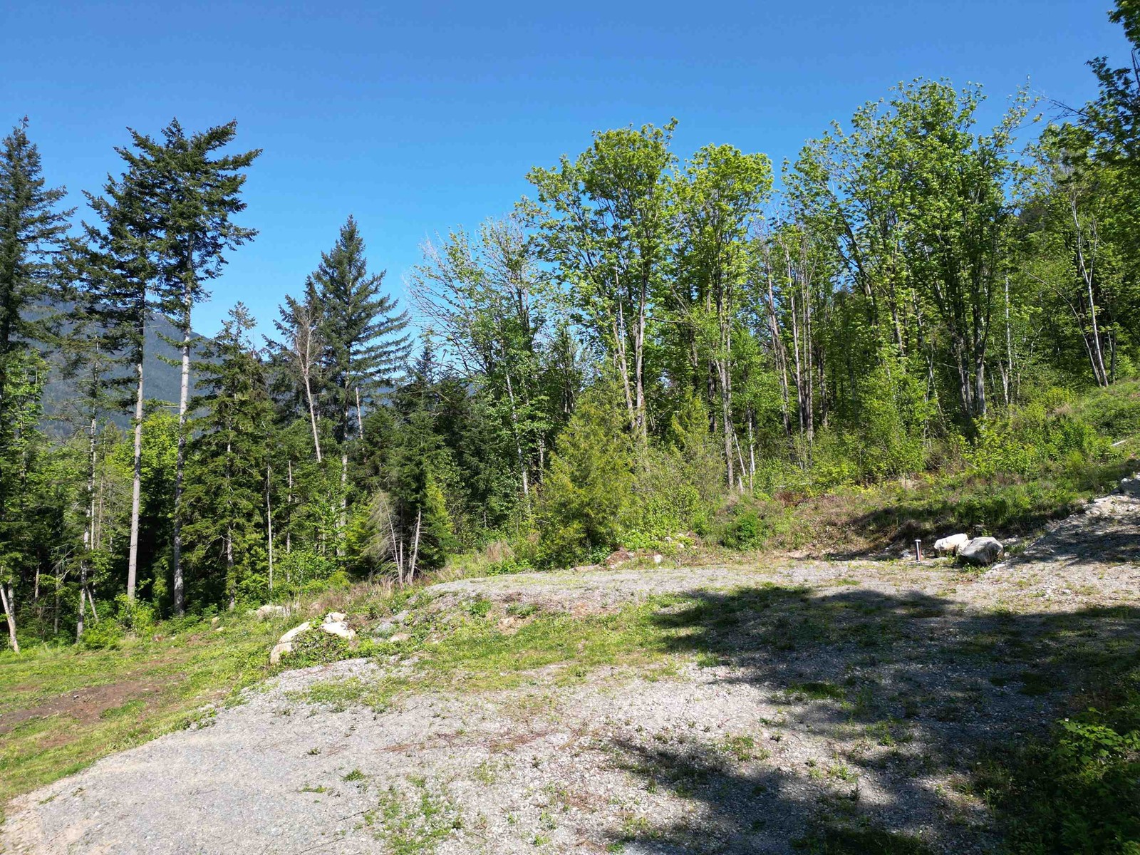 44115 Malcolm Road, Mission, British Columbia  V0M 1N0 - Photo 19 - R3003948