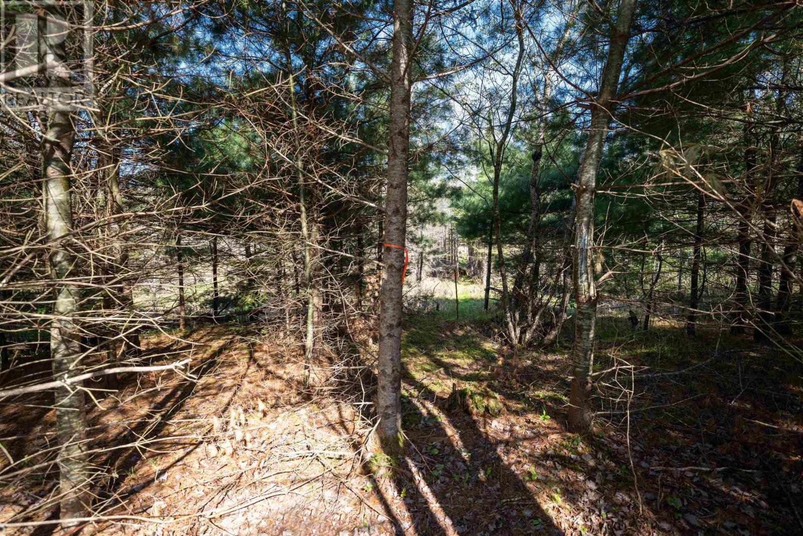 Lot 2 Blois Road, Macphees Corner, Nova Scotia  B0N 2H0 - Photo 13 - 202511148