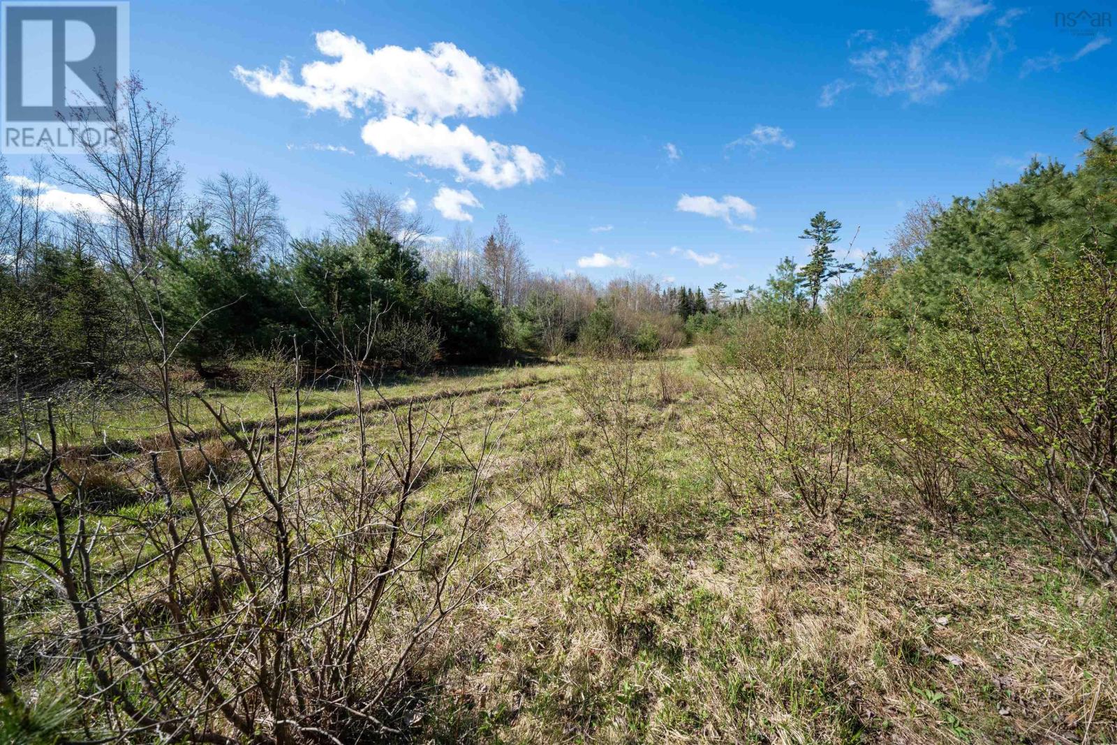Lot 2 Blois Road, Macphees Corner, Nova Scotia  B0N 2H0 - Photo 17 - 202511148