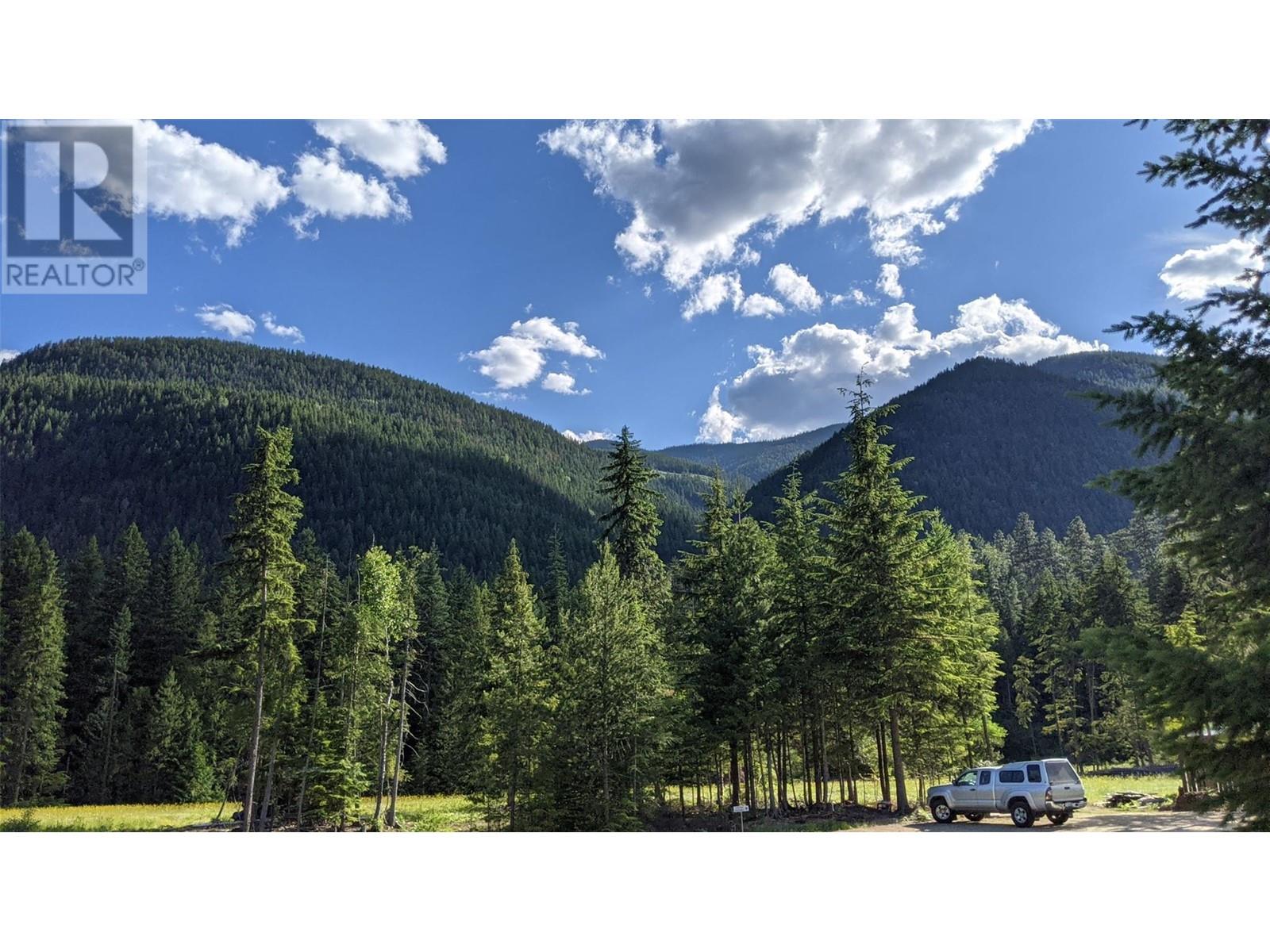 3809 PASSMORE UPPER Road, Passmore, BC V1L2J0
