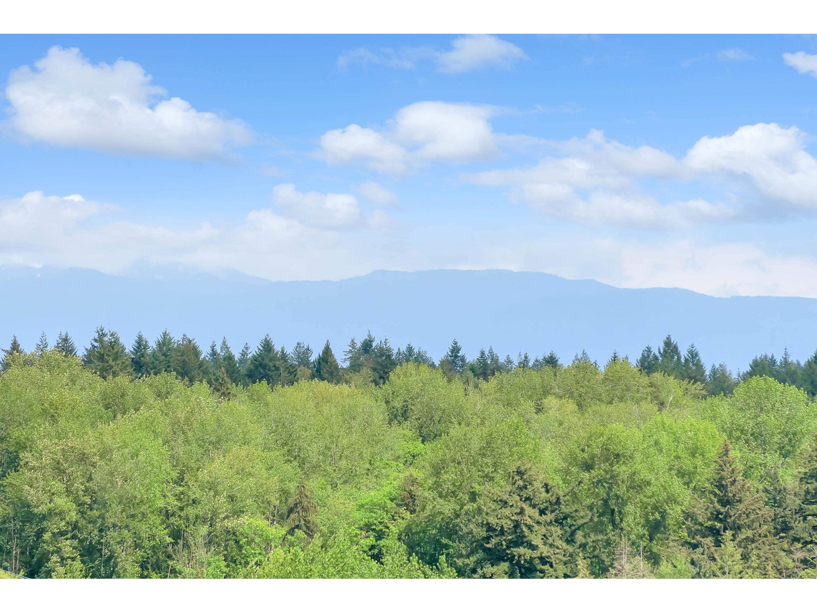 1808 9675 King George Boulevard, Surrey, British Columbia  V3T 2V3 - Photo 18 - R2996065