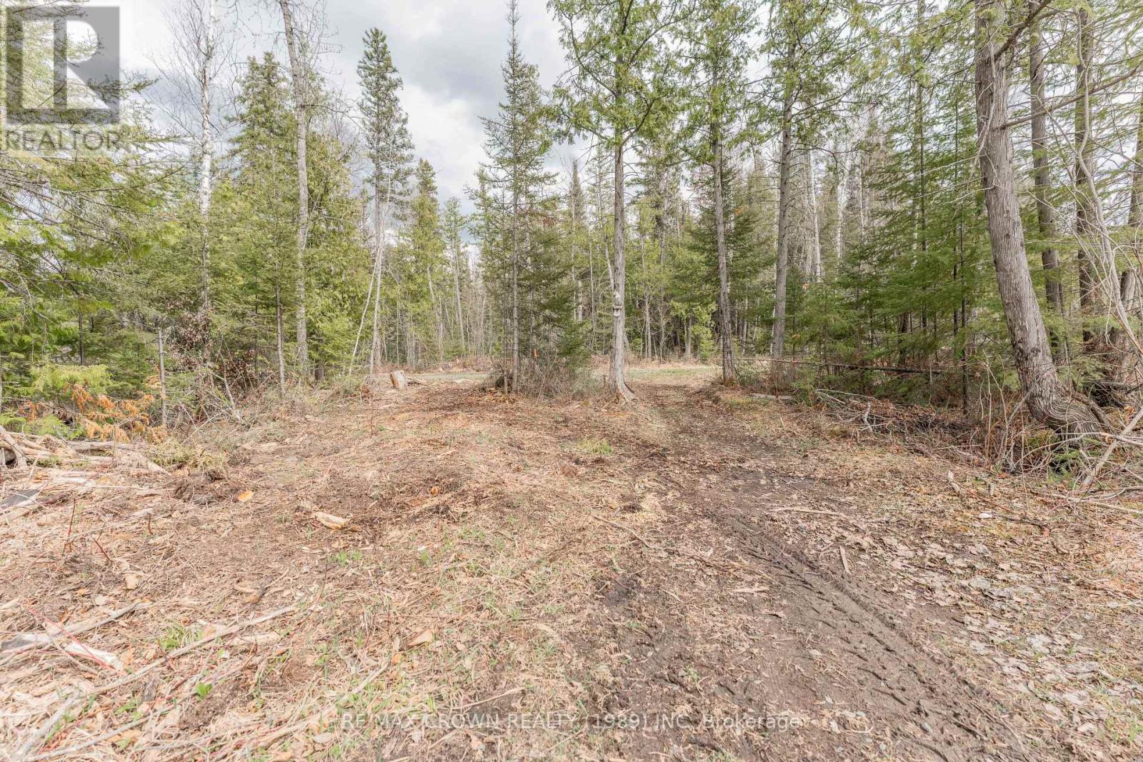 56 Remi Lake Road, Moonbeam, Ontario  P0L 1V0 - Photo 16 - T12159108