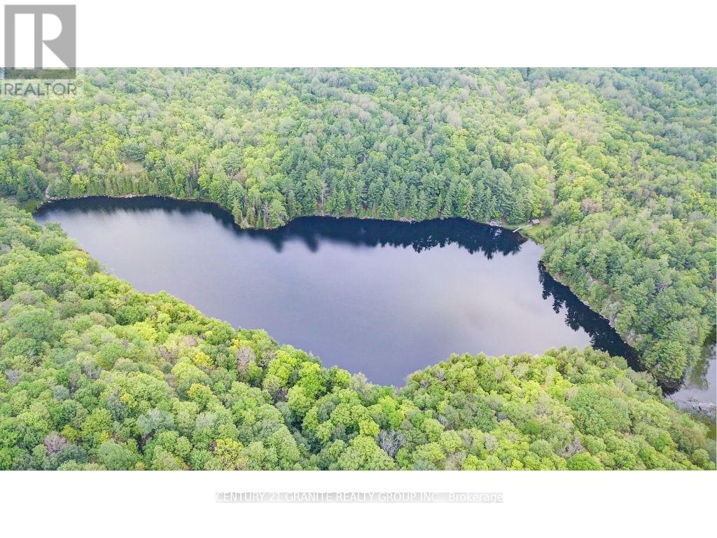 2128 Old Hastings Road, Wollaston, Ontario  K0L 2L0 - Photo 38 - X12158999