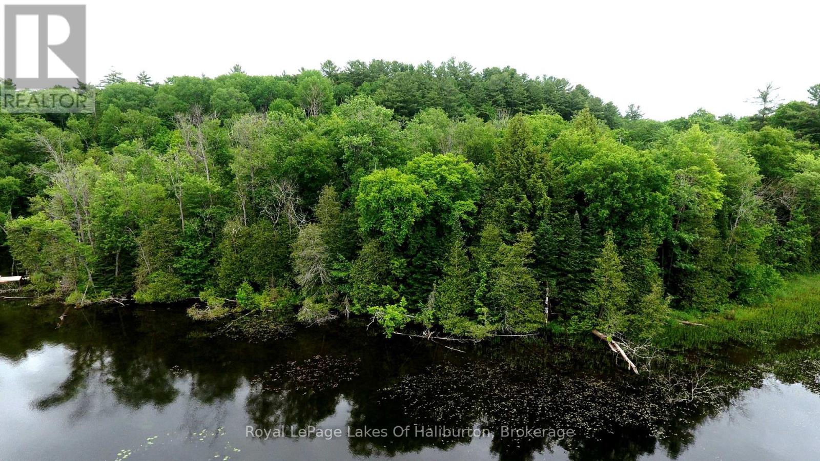 0 South Beaver Lake Lane, Minden Hills, Ontario  K0M 2L1 - Photo 2 - X12158946
