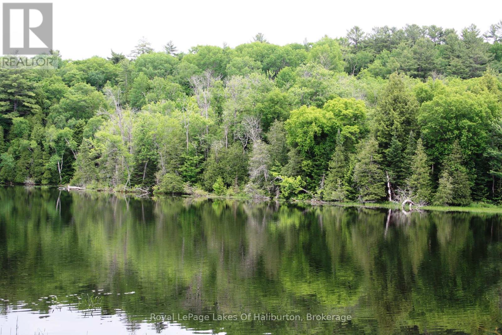 0 South Beaver Lake Lane, Minden Hills, Ontario  K0M 2L1 - Photo 6 - X12158946