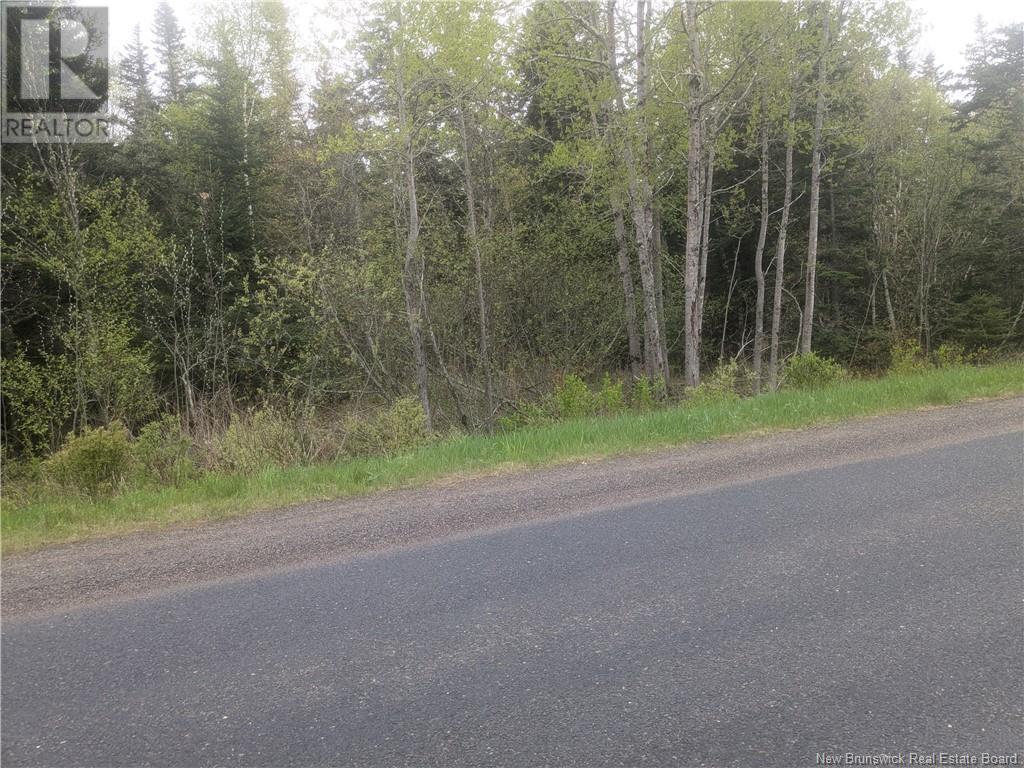 Lot 85-26 Swimming Pool Rd., Welshpool, New Brunswick  E5E 1H5 - Photo 3 - NB118870
