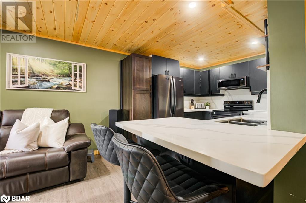 1105 Lakeshore Road Road, Gooderham, Ontario  K0M 1R0 - Photo 19 - 40728298