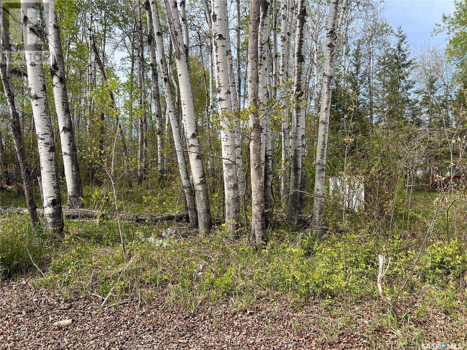 448 Cougar Road, Marean Lake, Saskatchewan  S0E 1H0 - Photo 1 - SK000587