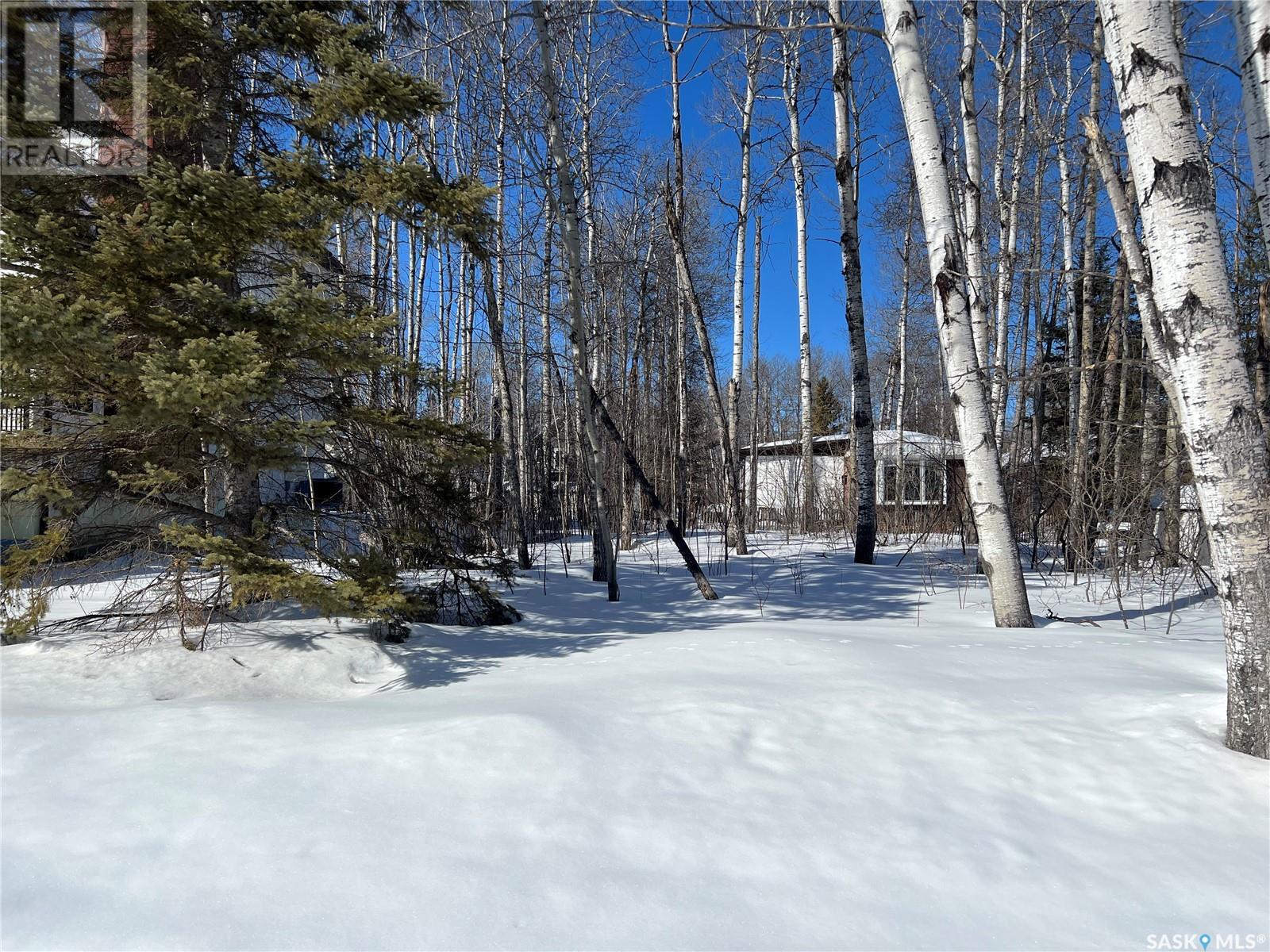 448 Cougar Road, Greenwater Provincial Park, Saskatchewan  S0E 1H0 - Photo 4 - SK000587