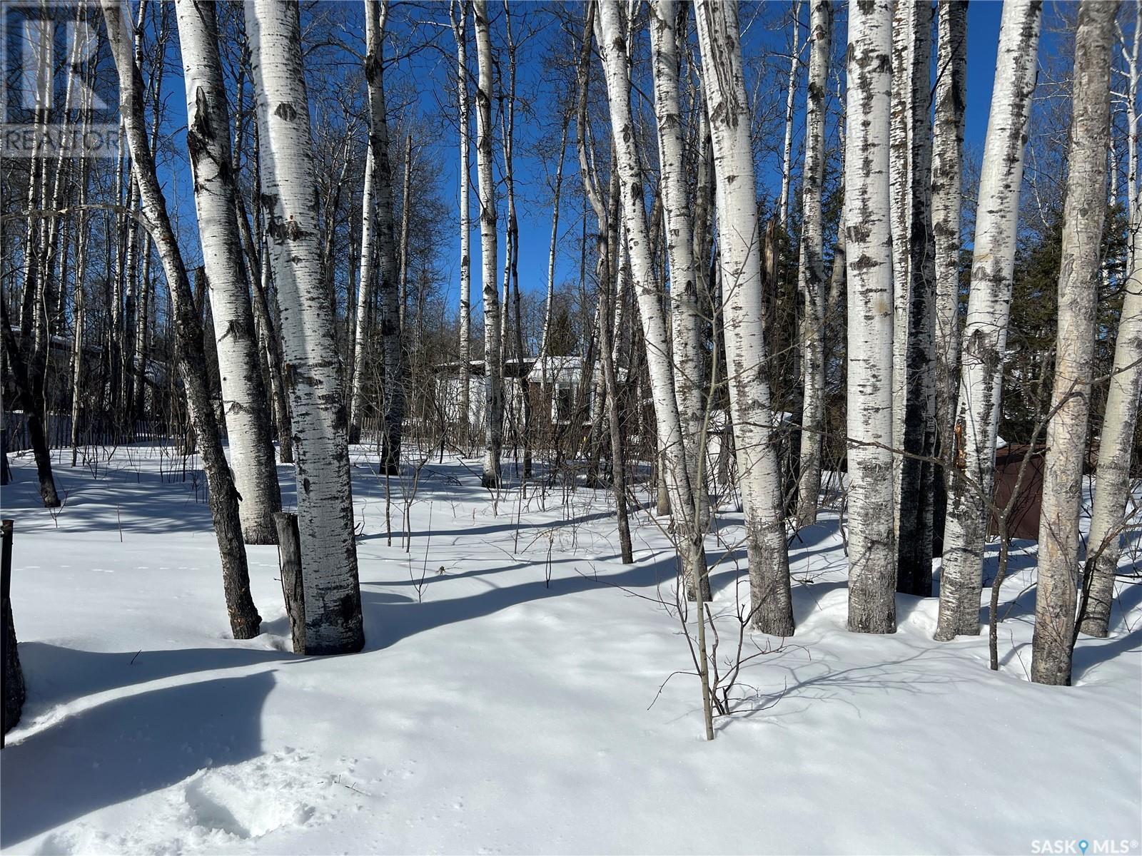 448 Cougar Road, Greenwater Provincial Park, Saskatchewan  S0E 1H0 - Photo 3 - SK000587