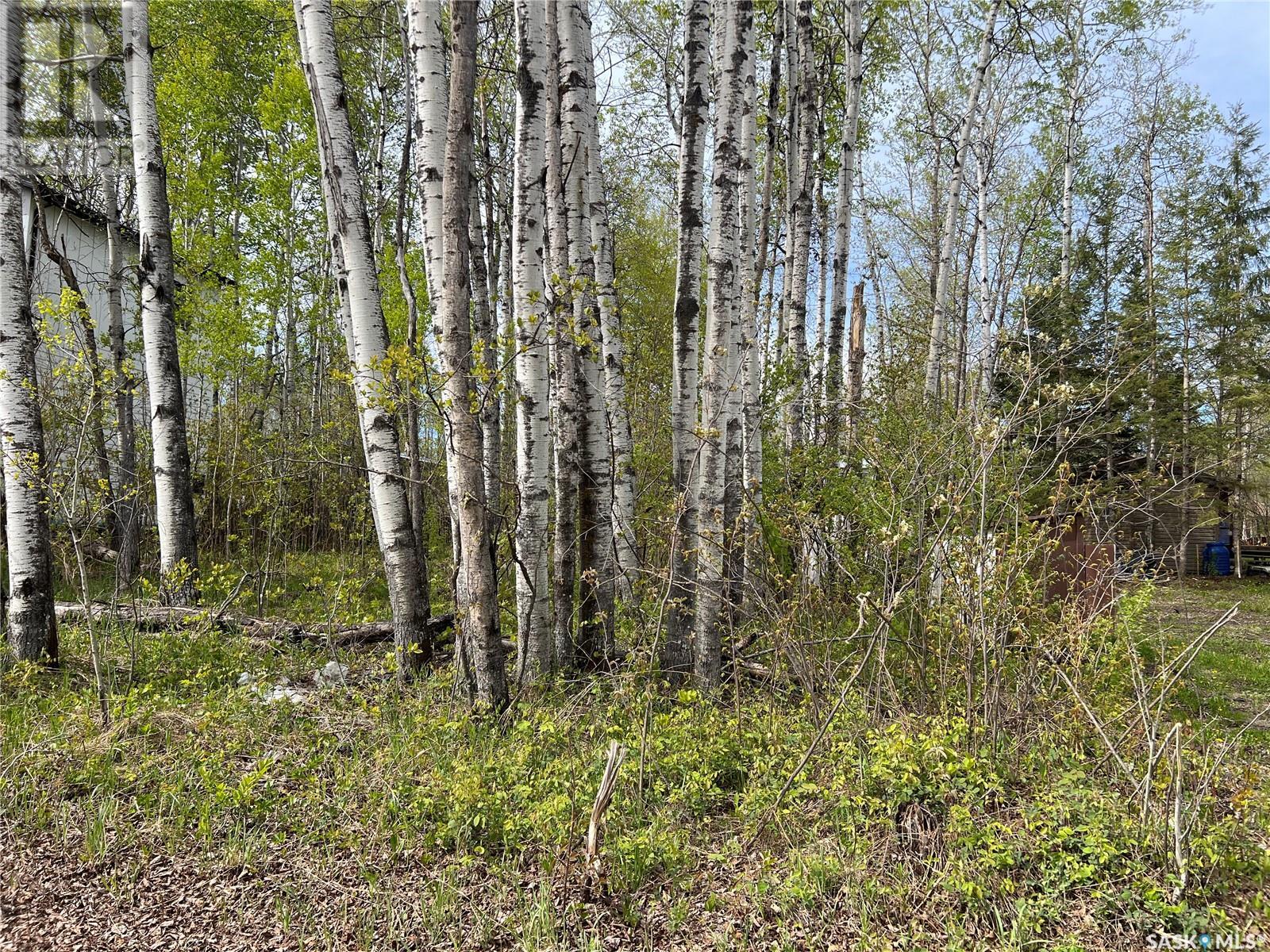 448 Cougar Road, Greenwater Provincial Park, Saskatchewan  S0E 1H0 - Photo 2 - SK000587