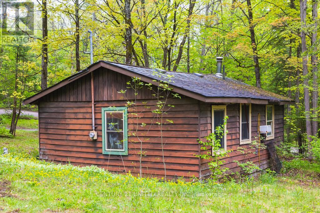 4 Pine Grove Road, Trent Hills, Ontario  K0K 2M0 - Photo 12 - X12159223