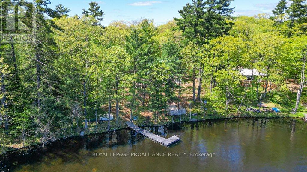 276 Sheldrake Lake Road, Addington Highlands, Ontario  K0H 2G0 - Photo 41 - X12159250