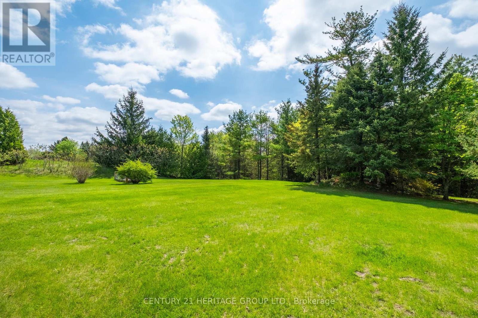 5713 Line 6, New Tecumseth, Ontario  L0G 1W0 - Photo 36 - N12159117