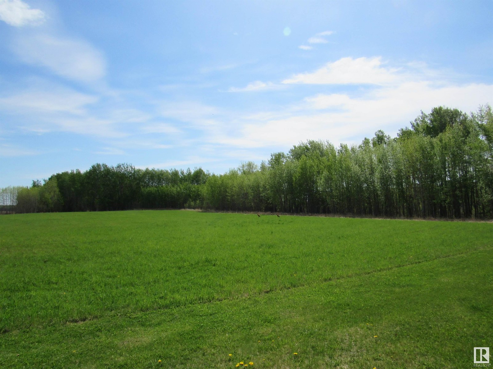 623005 Rge Rd 60, Rural Woodlands County, Alberta  T0G 1A0 - Photo 58 - E4436221
