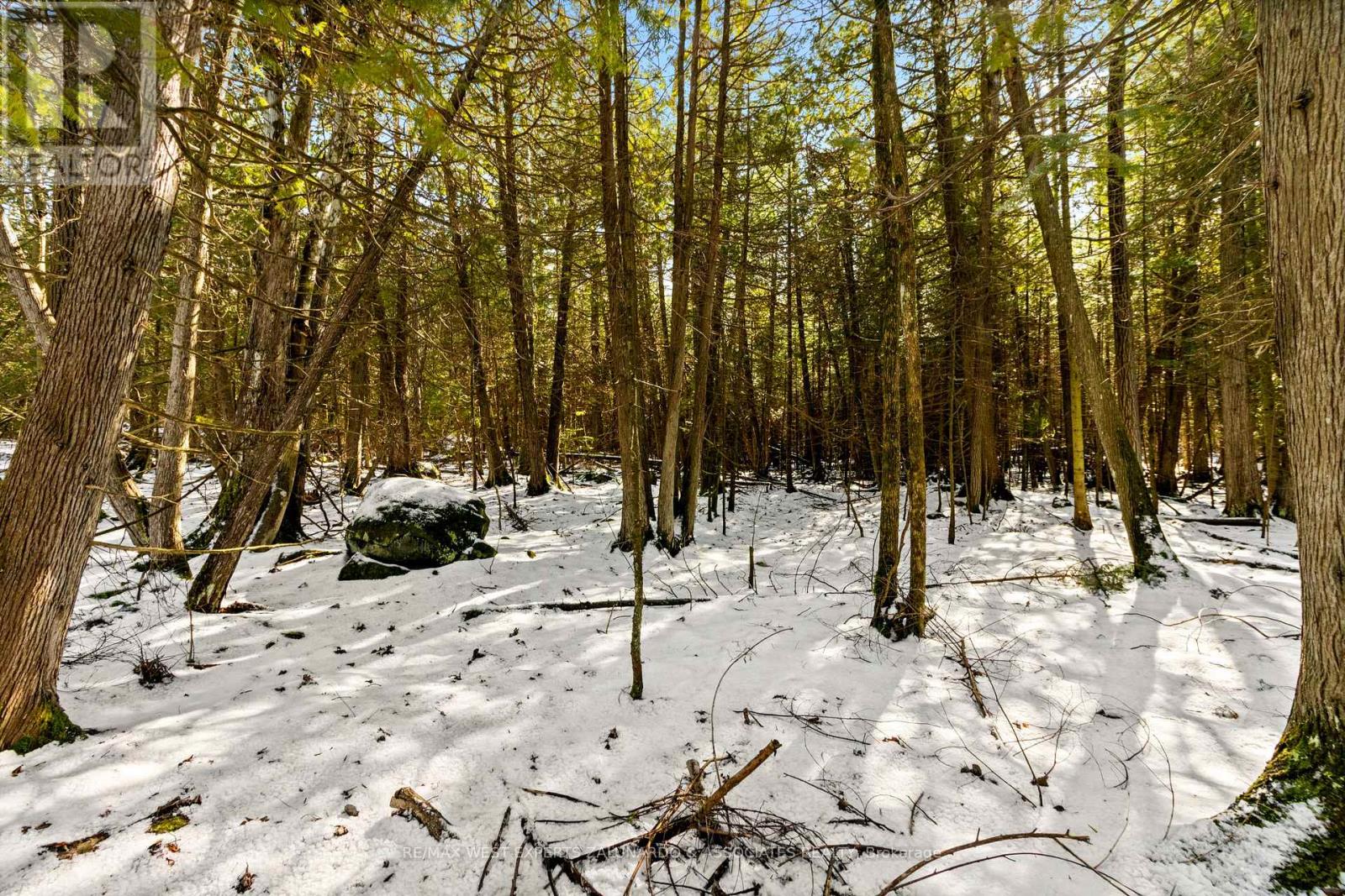 7221 Highway 6 Road, Northern Bruce Peninsula, Ontario  N0H 2T0 - Photo 46 - X12051148