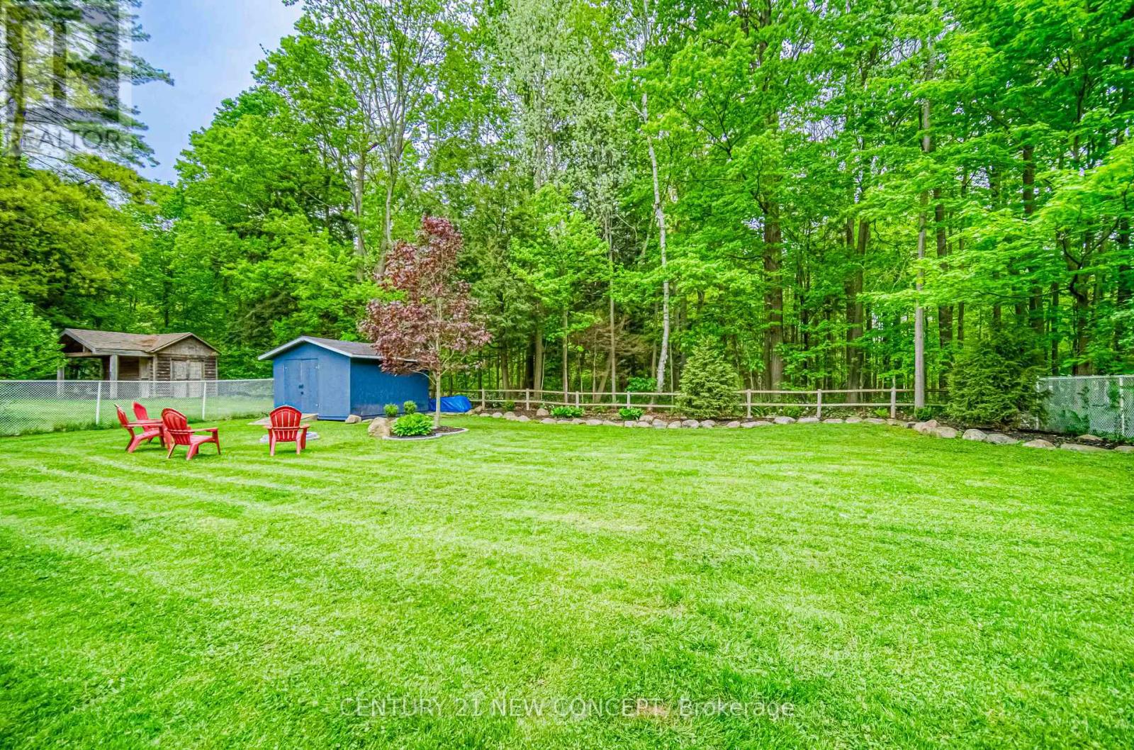 5531 Black River Road, Georgina, Ontario  L0E 1R0 - Photo 35 - N12159169