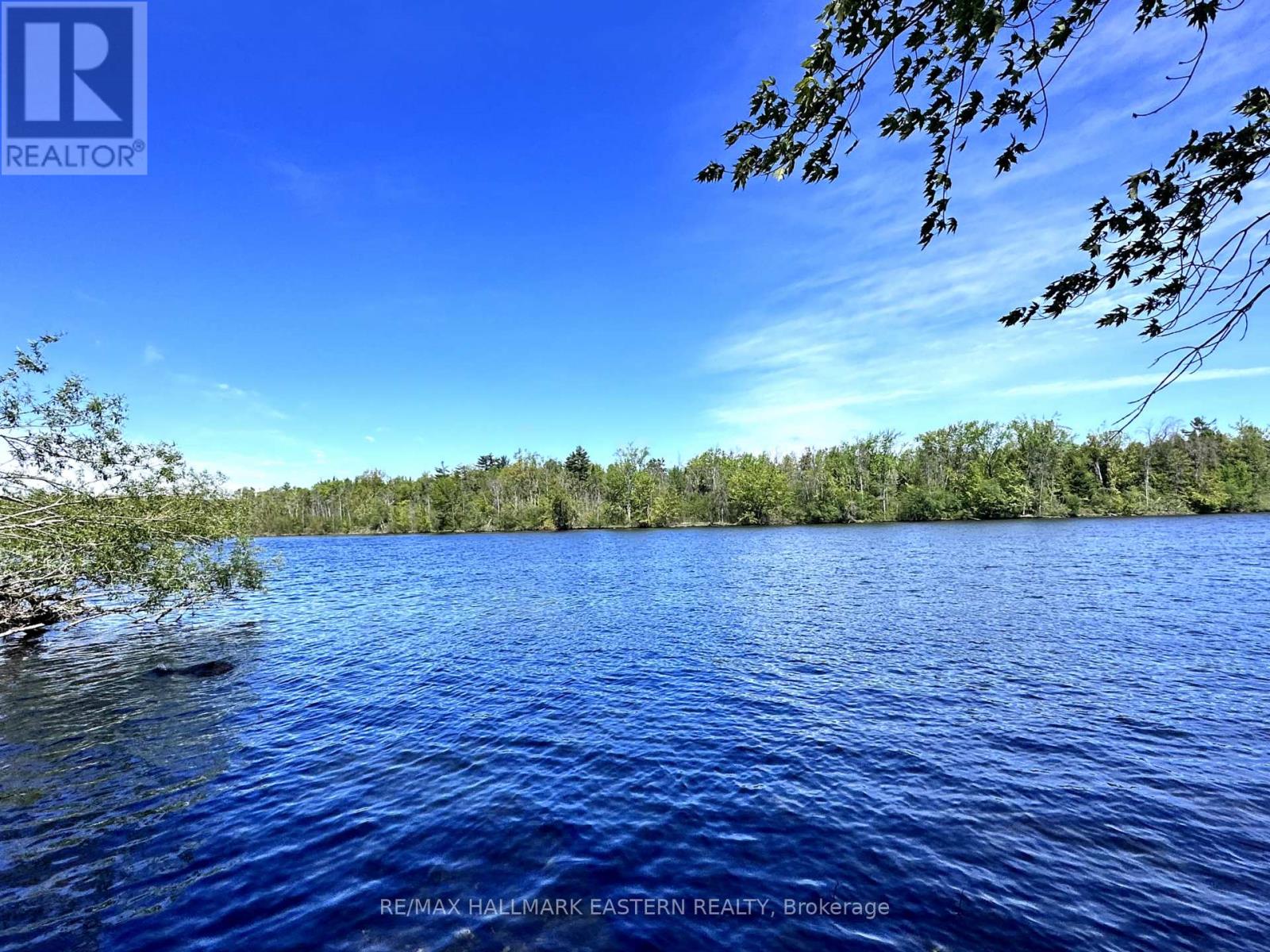 862 Doris Drive, Otonabee-South Monaghan, Ontario  K0L 1B0 - Photo 40 - X11999602