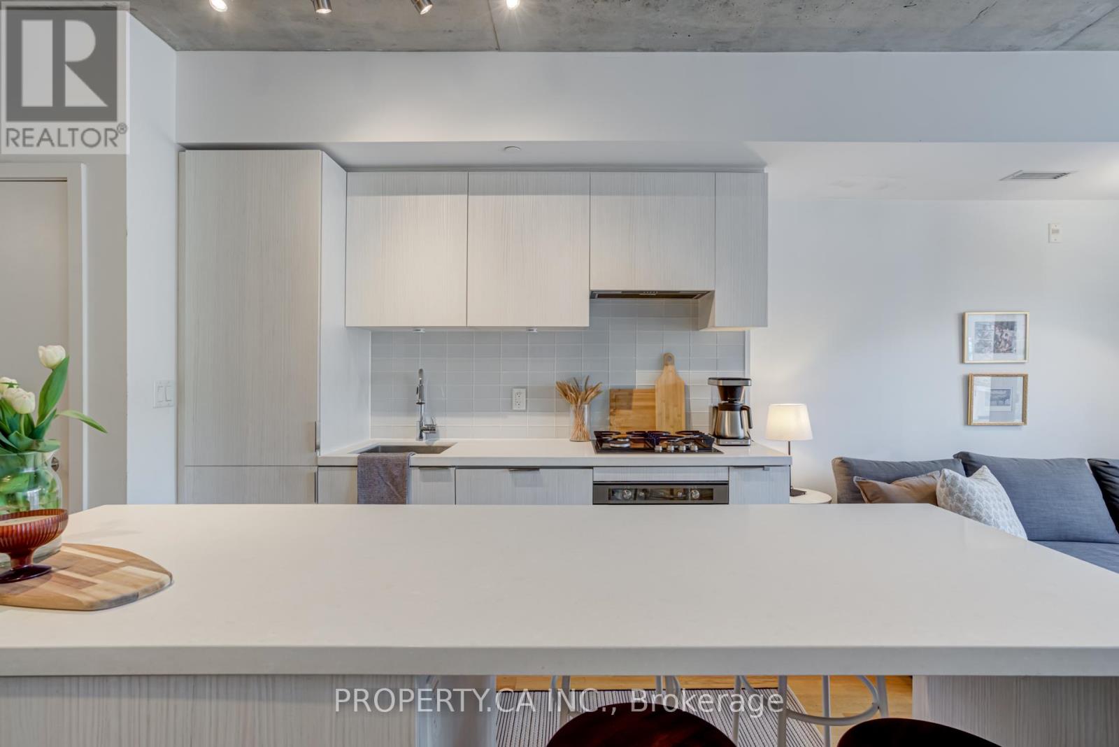 203 - 109 Ossington Avenue, Toronto, Ontario  M6J 0G1 - Photo 5 - C12159398